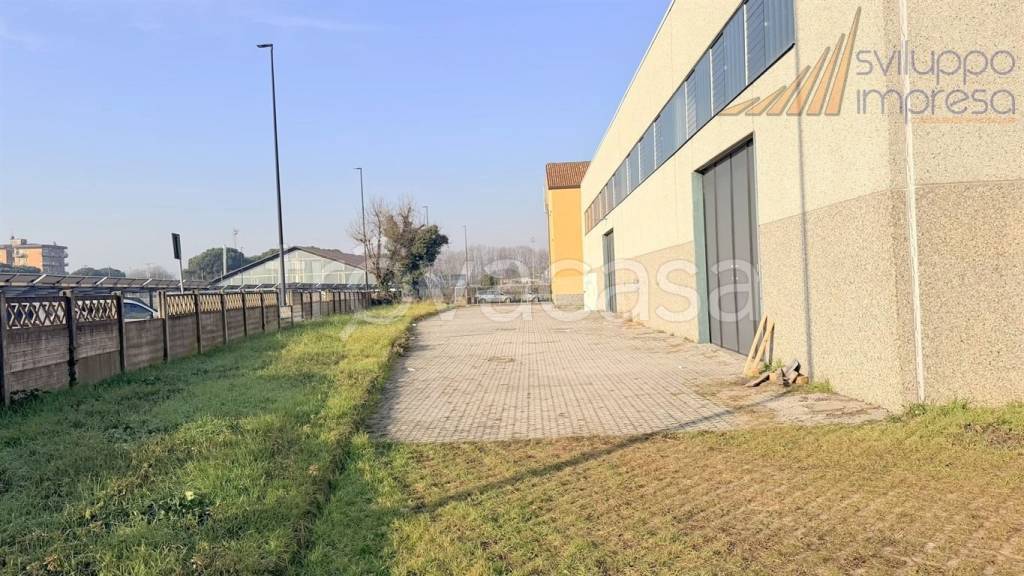 immagine annuncio 6 di 14