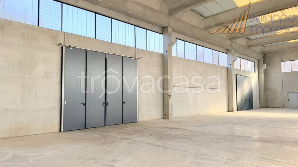 immagine annuncio 7 di 14