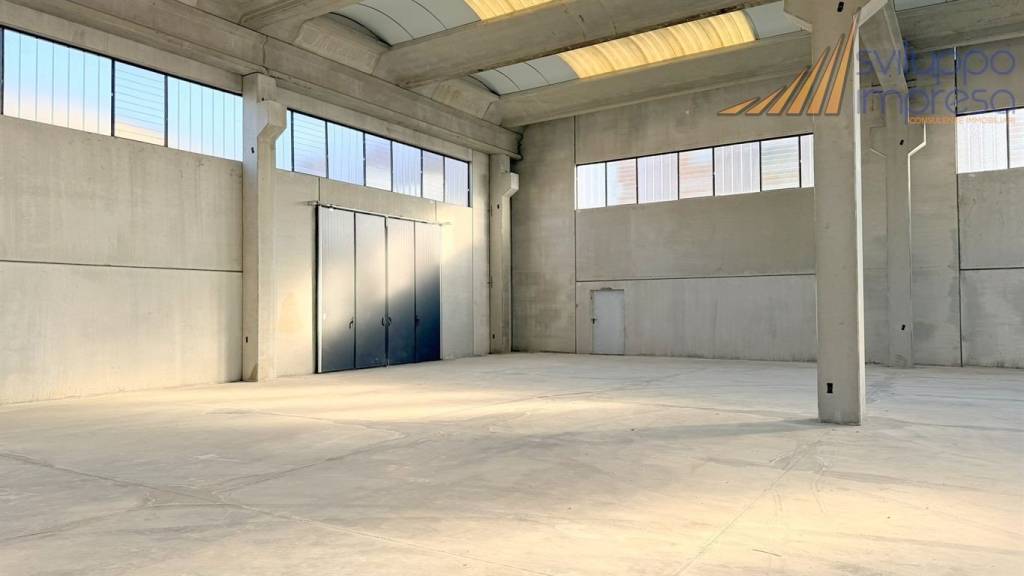 immagine annuncio 8 di 14