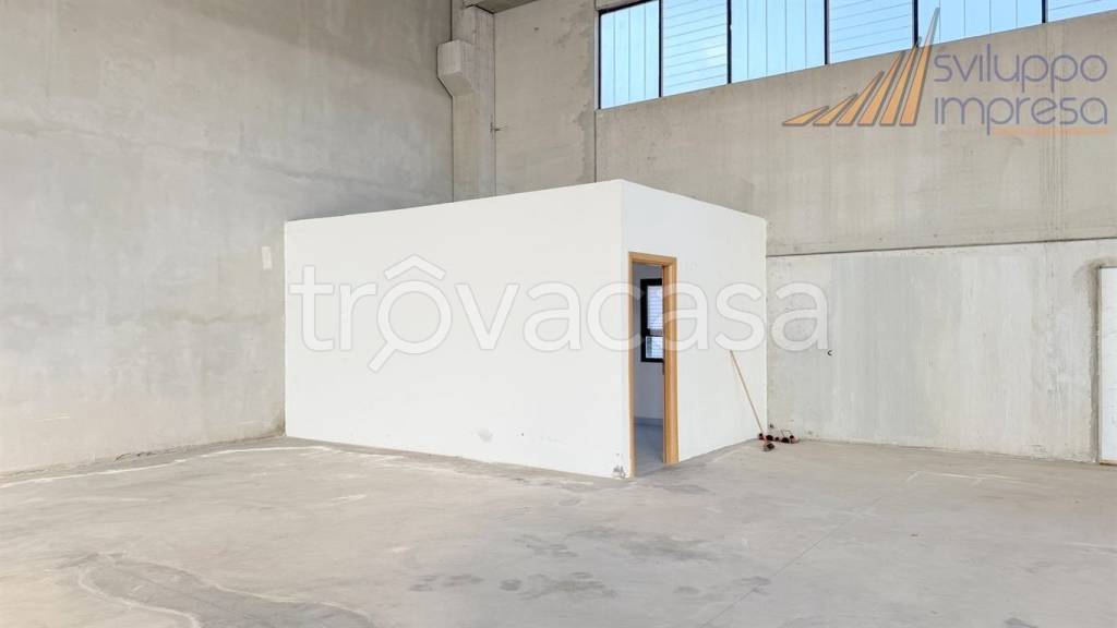 immagine annuncio 11 di 14