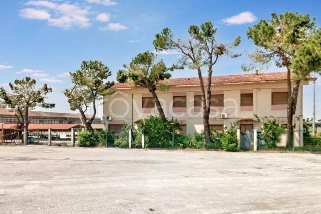 immagine annuncio 4 di 9