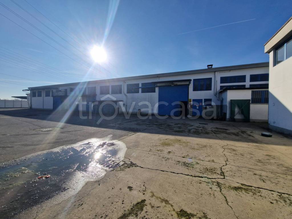 immagine annuncio 1 di 15