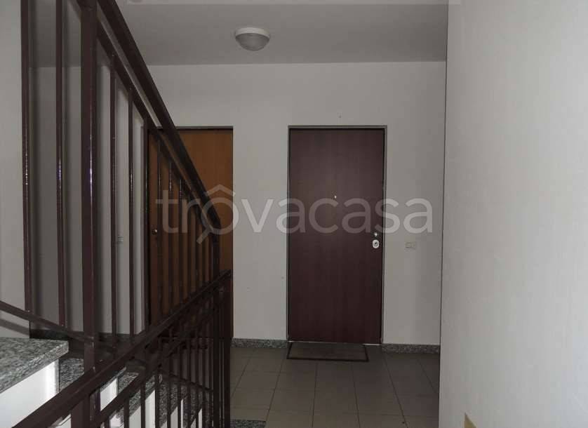 immagine annuncio 2 di 8