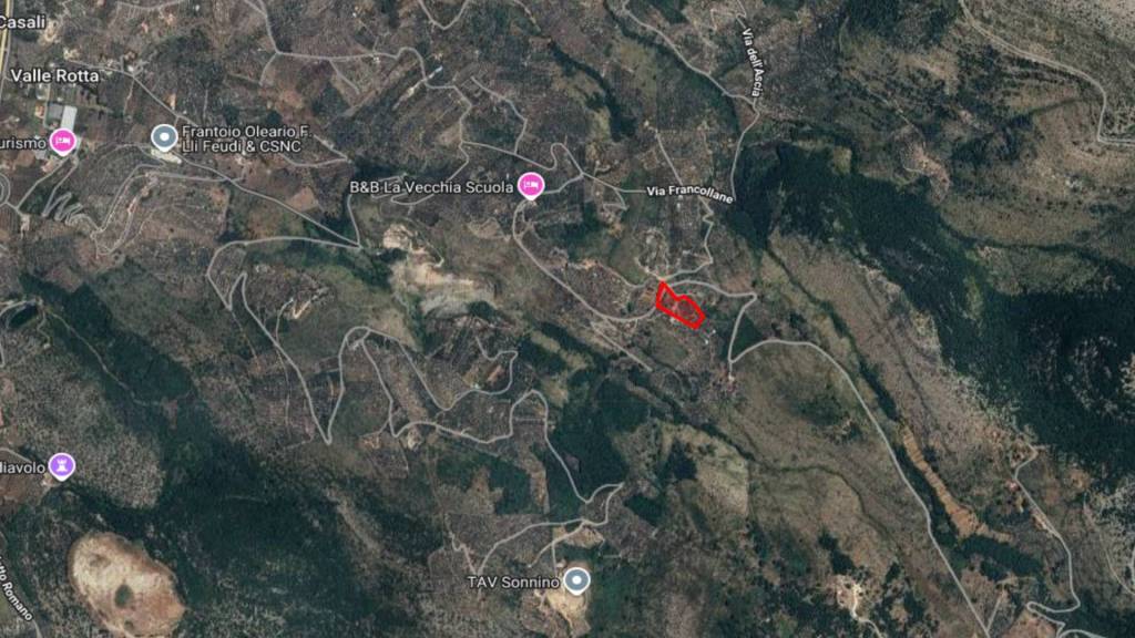 immagine annuncio 12 di 15