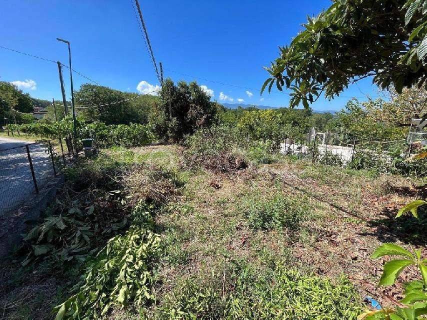 immagine annuncio 6 di 12