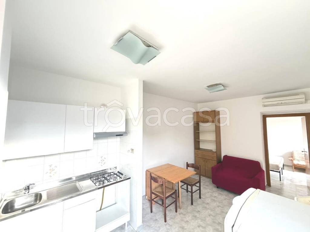 immagine annuncio 4 di 14