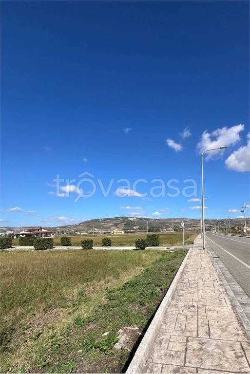 immagine annuncio 1 di 6