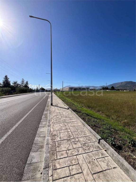 immagine annuncio 2 di 6