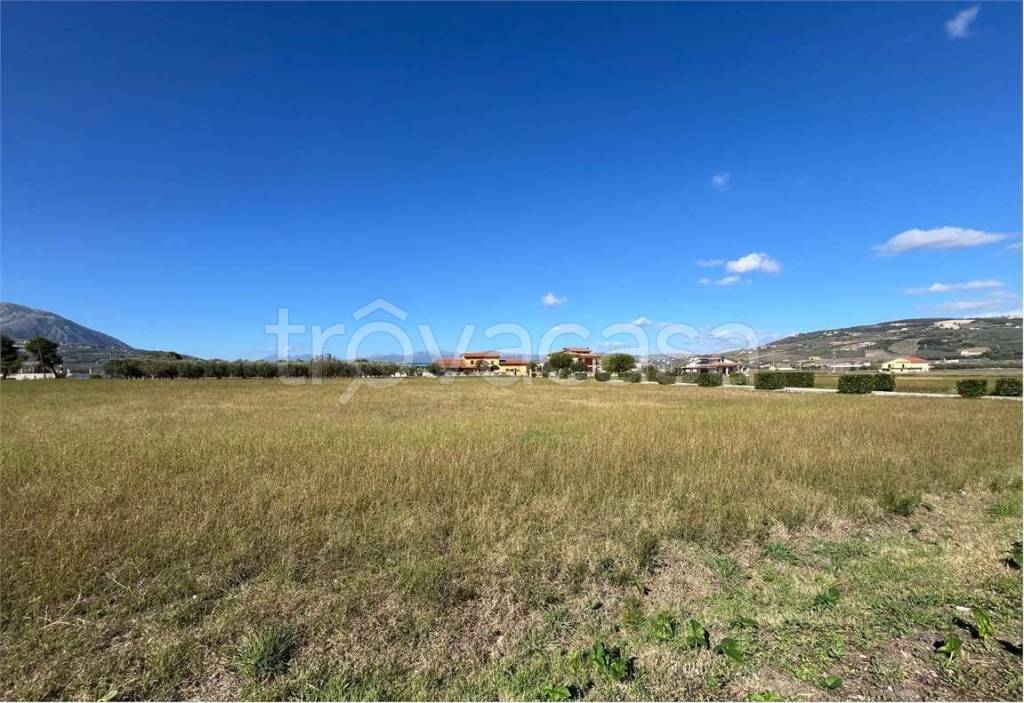 immagine annuncio 4 di 6