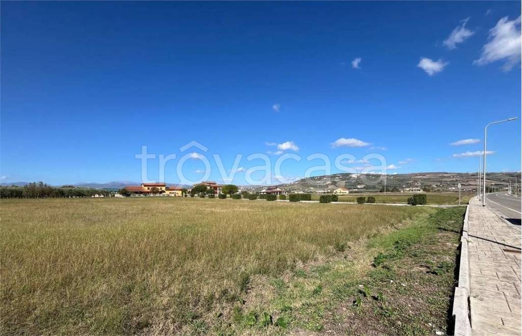 immagine annuncio 5 di 6