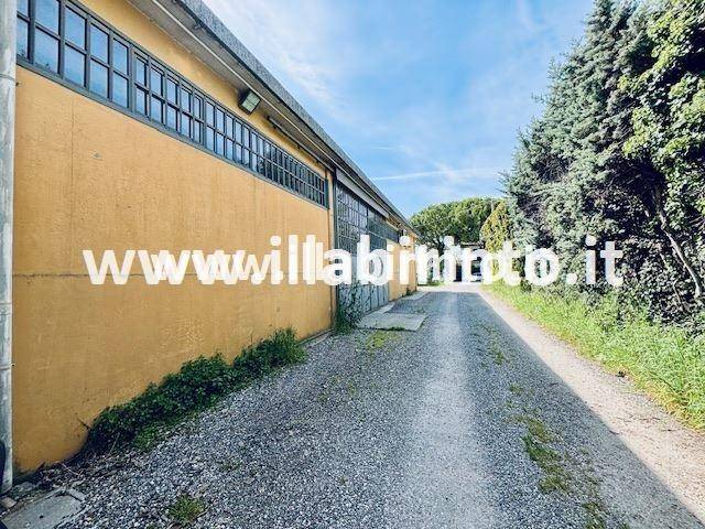 immagine annuncio 4 di 12