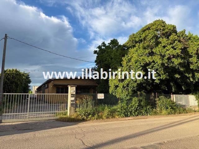 immagine annuncio 10 di 12