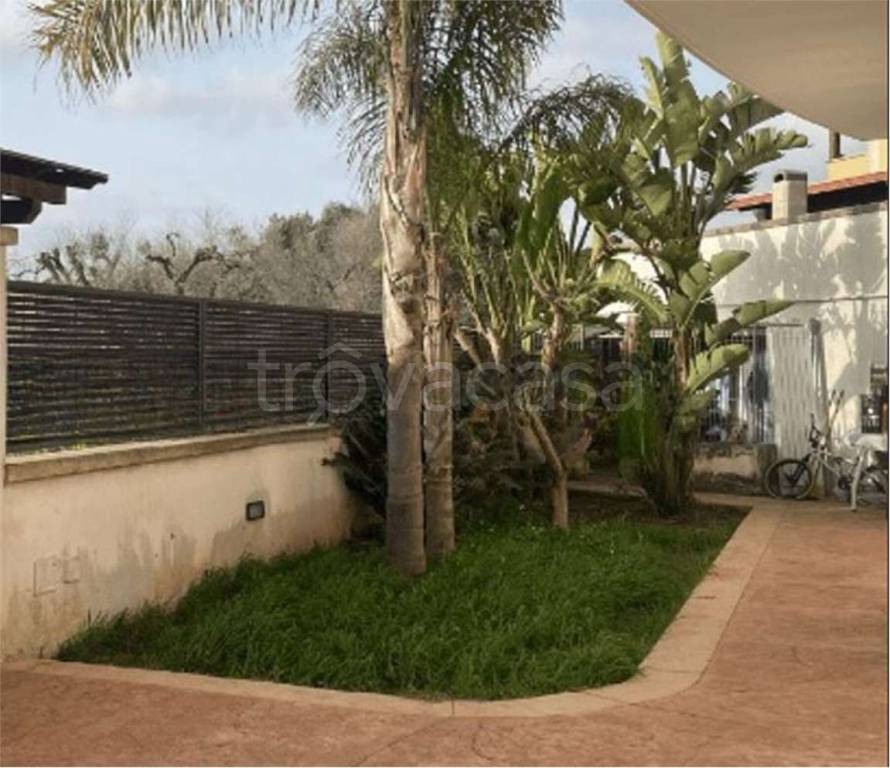 immagine annuncio 10 di 14