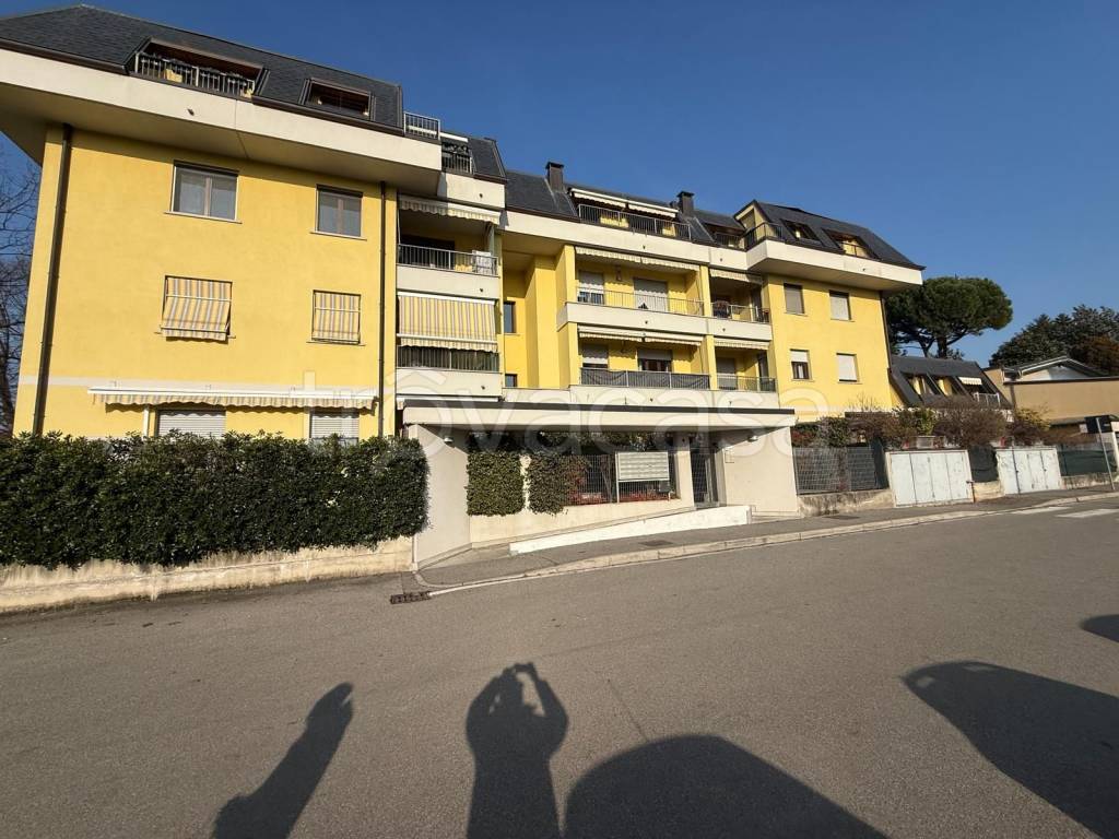 immagine annuncio 12 di 14