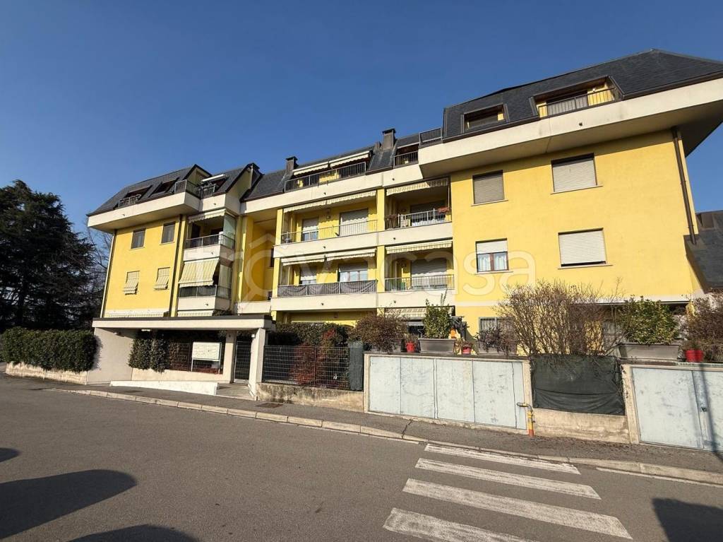 immagine annuncio 1 di 14