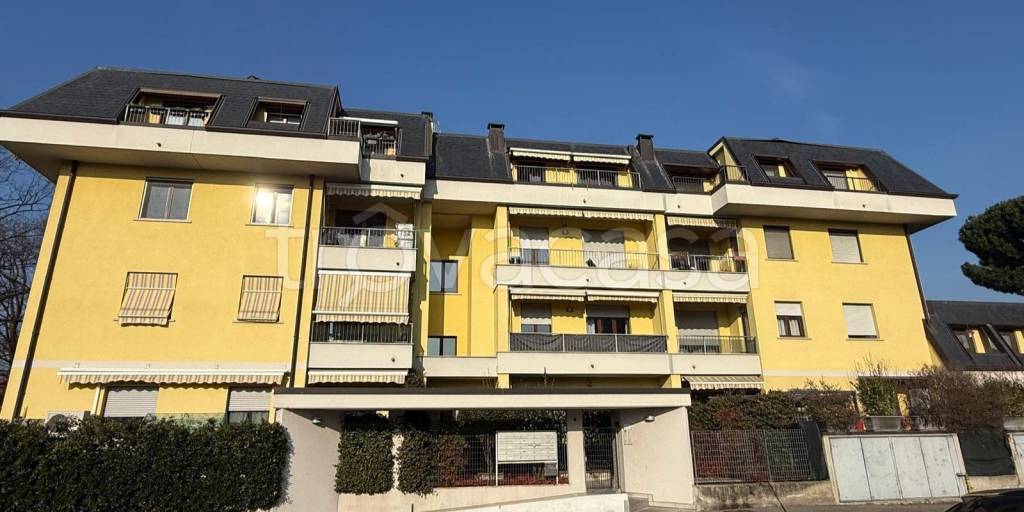 immagine annuncio 13 di 14