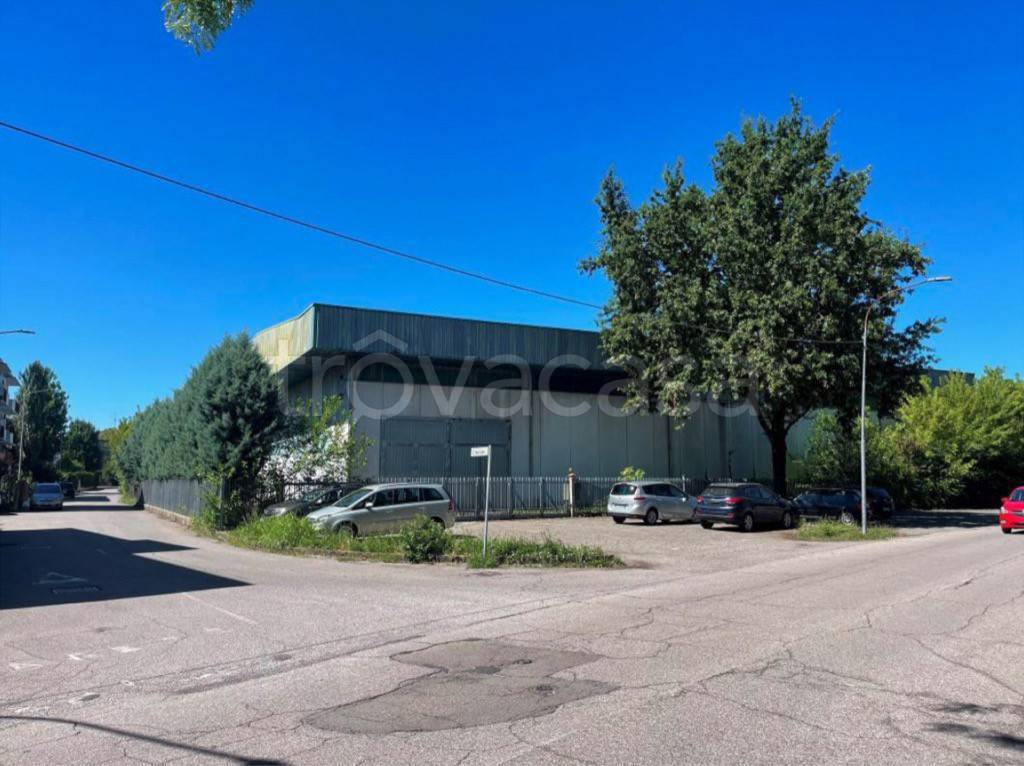 immagine annuncio 10 di 15