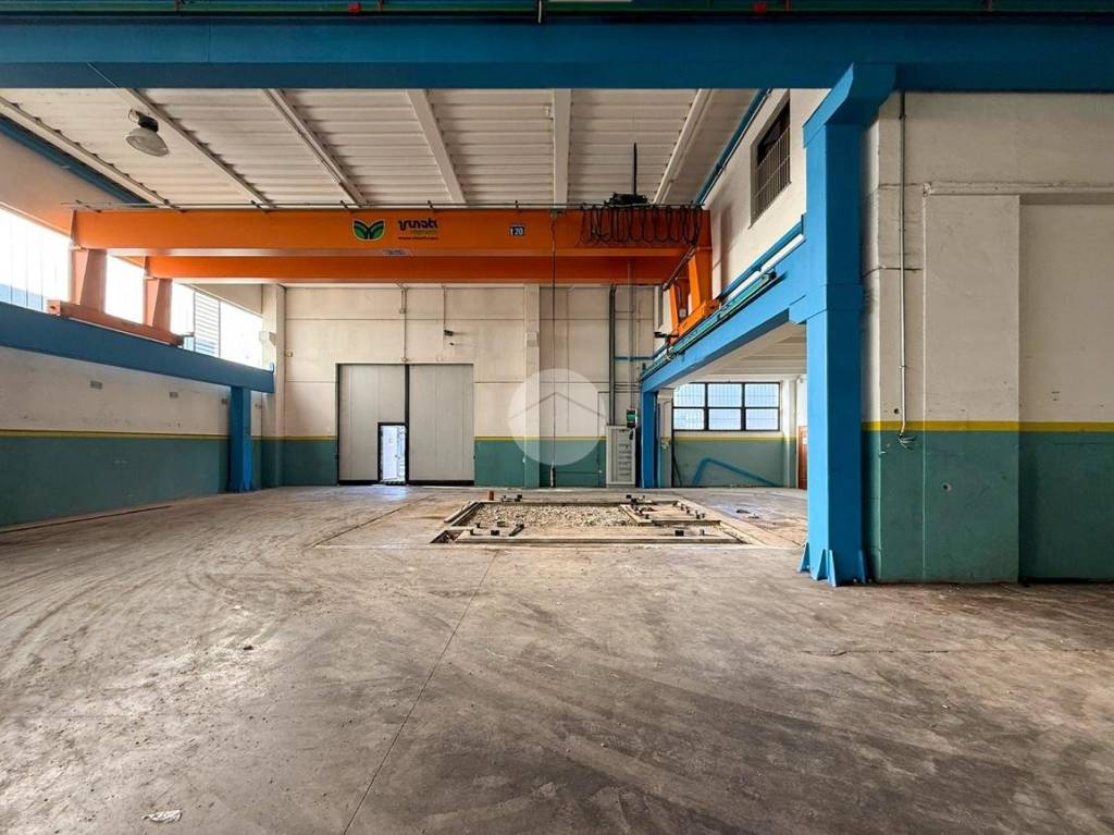 immagine annuncio 3 di 15