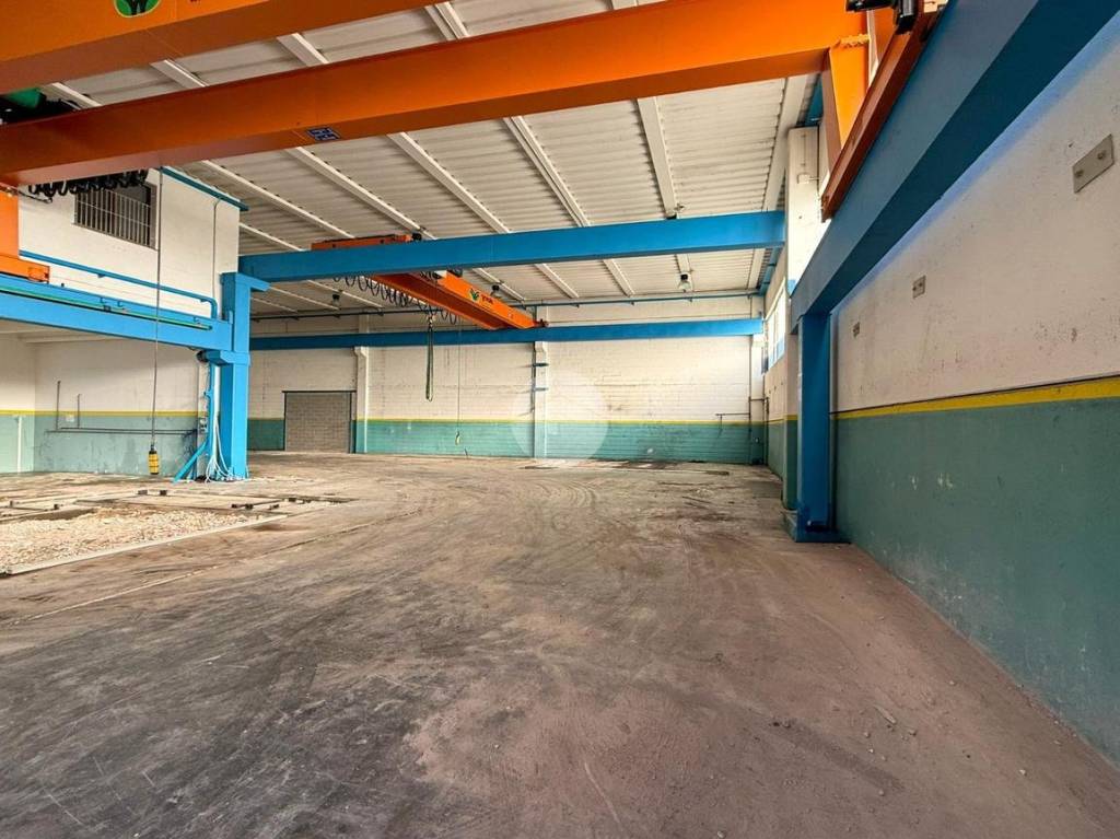 immagine annuncio 9 di 15