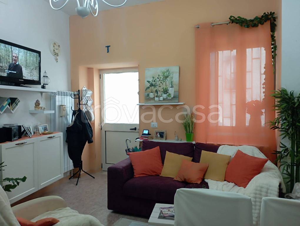 immagine annuncio 1 di 7