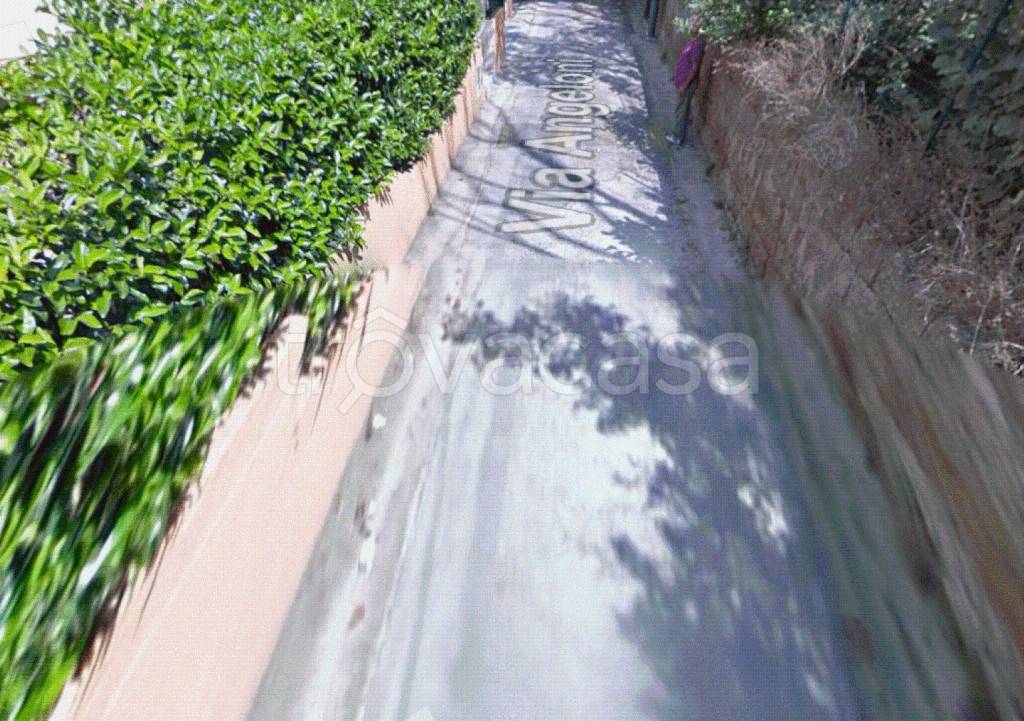 immagine annuncio 4 di 11