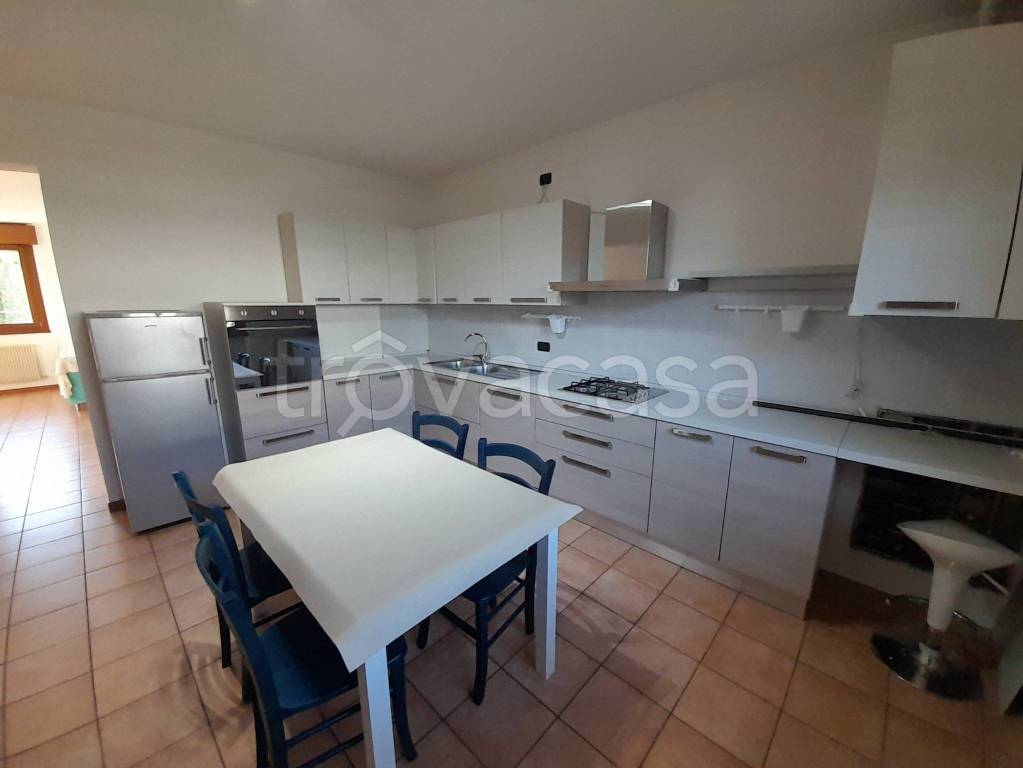 immagine annuncio 3 di 13