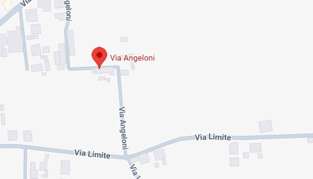 immagine annuncio 3 di 11