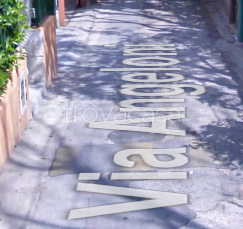 immagine annuncio 4 di 9