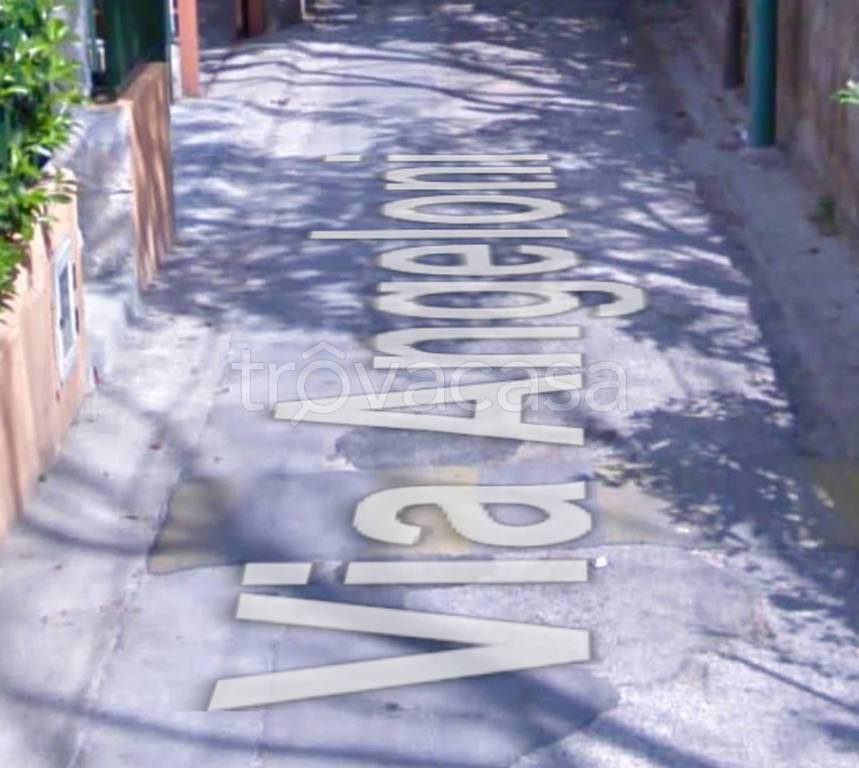 immagine annuncio 5 di 9