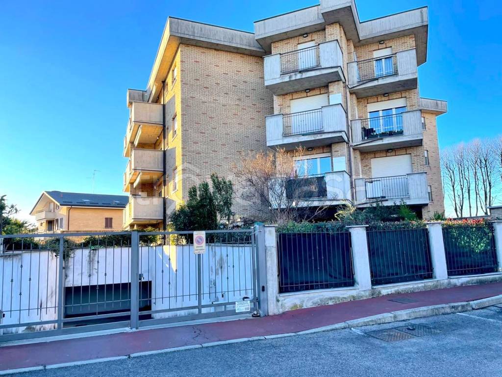 immagine annuncio 9 di 13