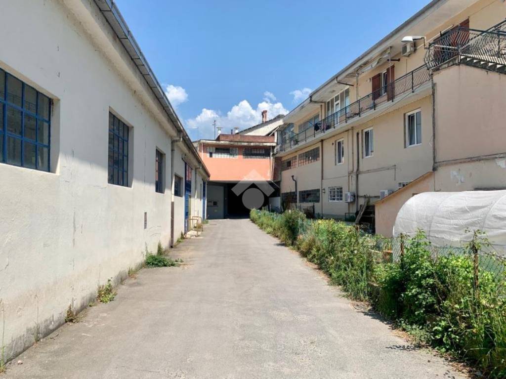 immagine annuncio 2 di 10