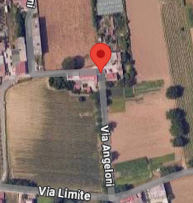 immagine annuncio 4 di 11