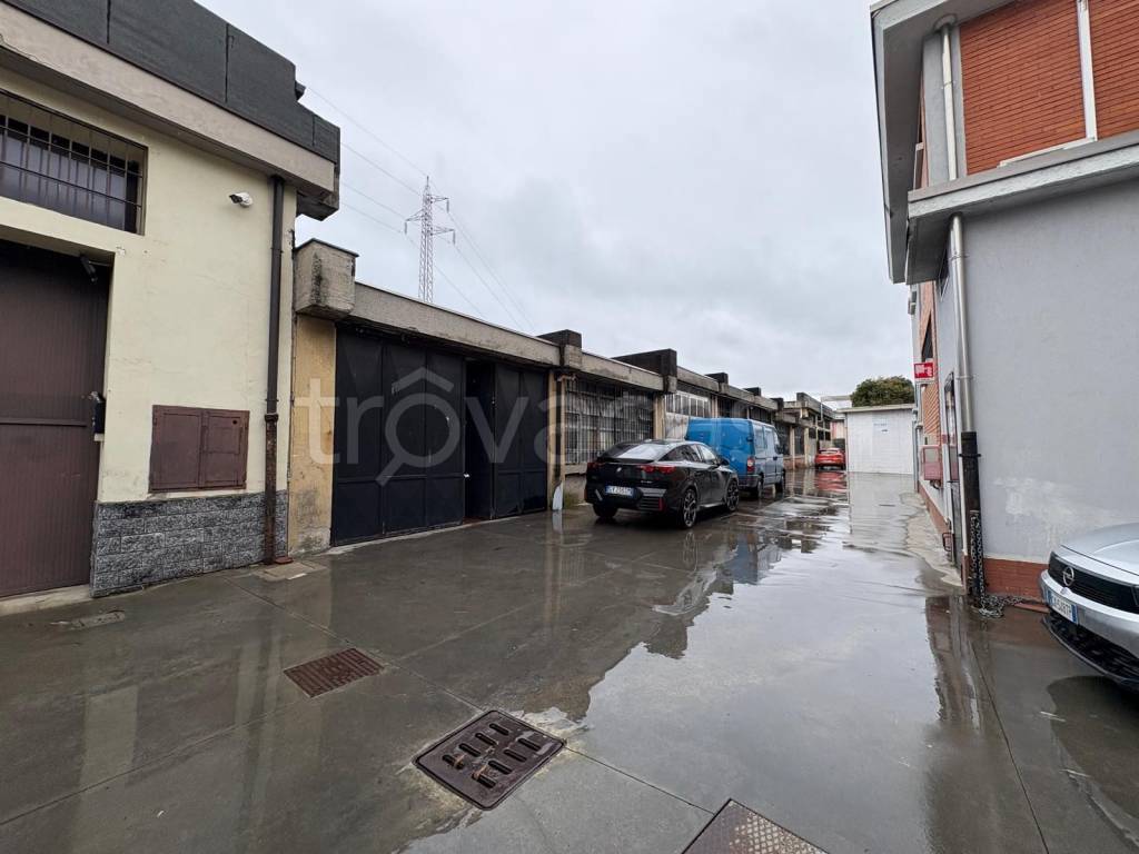 immagine annuncio 1 di 12