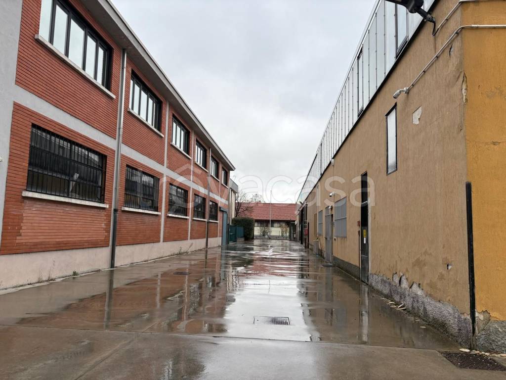 immagine annuncio 10 di 12