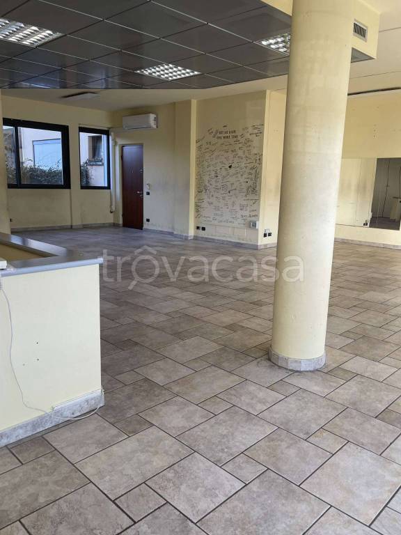 immagine annuncio 4 di 12