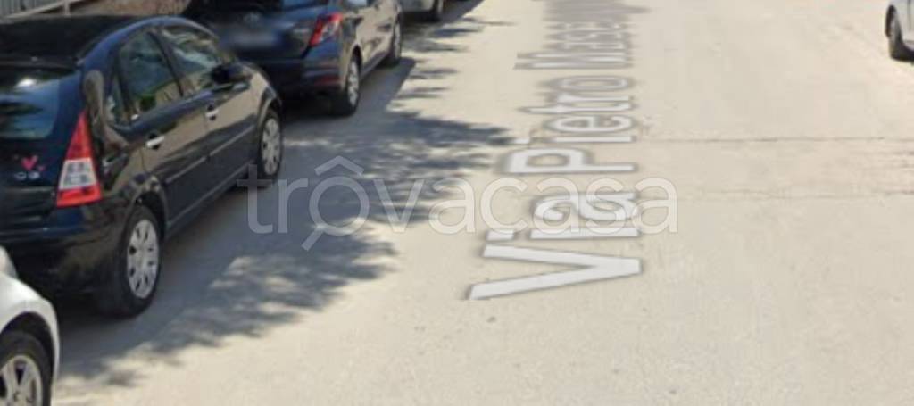 immagine annuncio 5 di 14