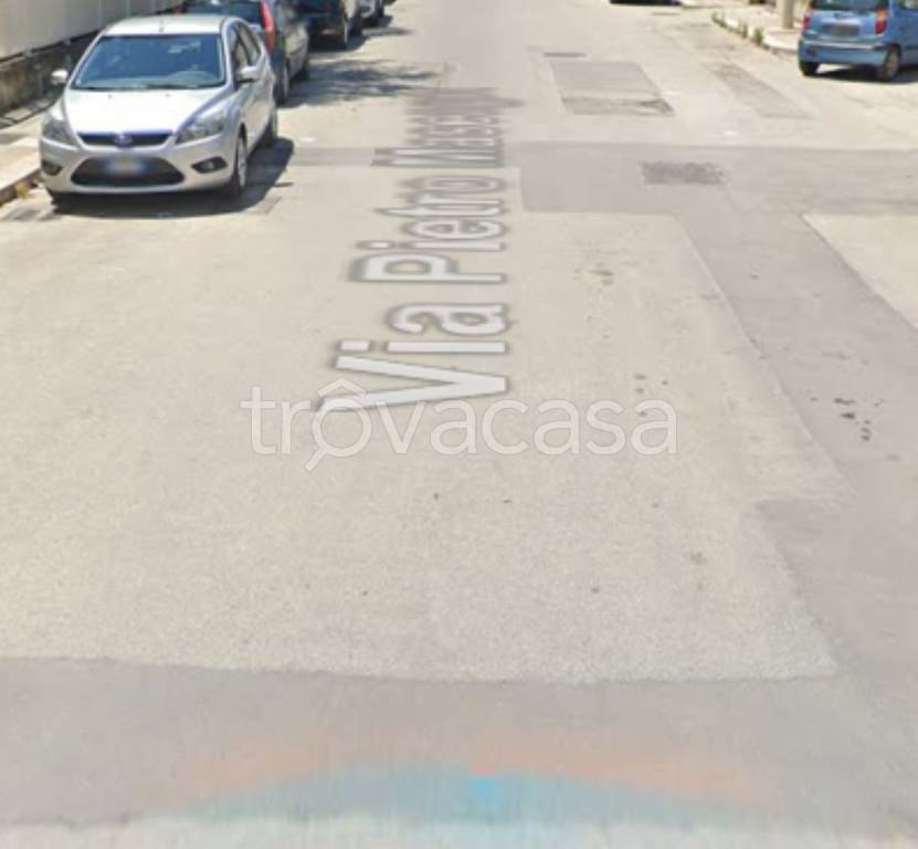 immagine annuncio 12 di 14