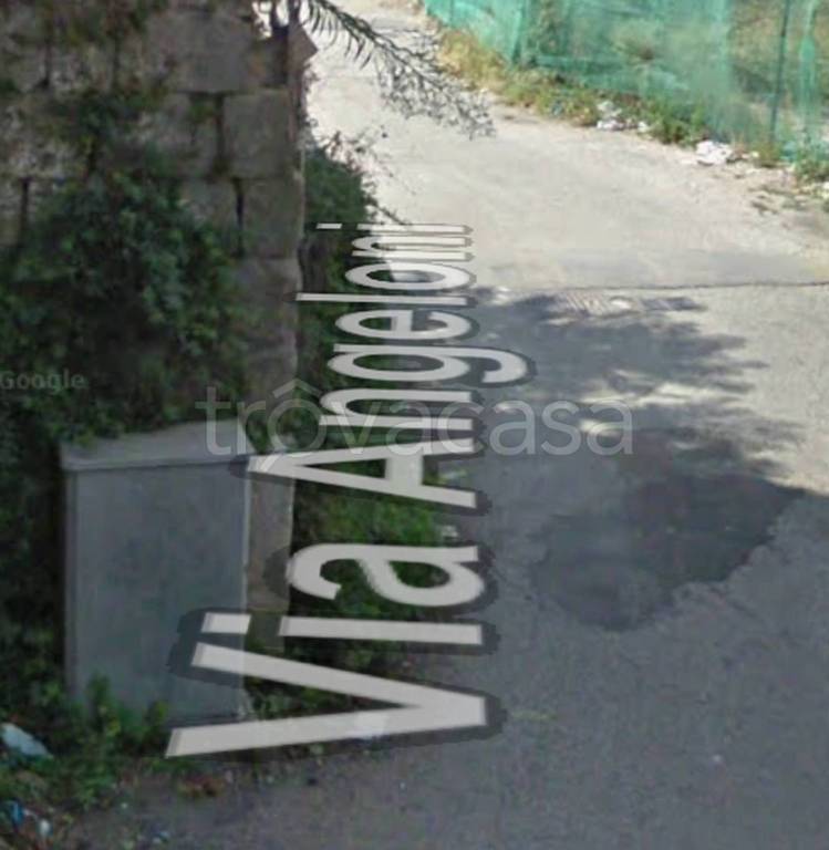 immagine annuncio 5 di 11