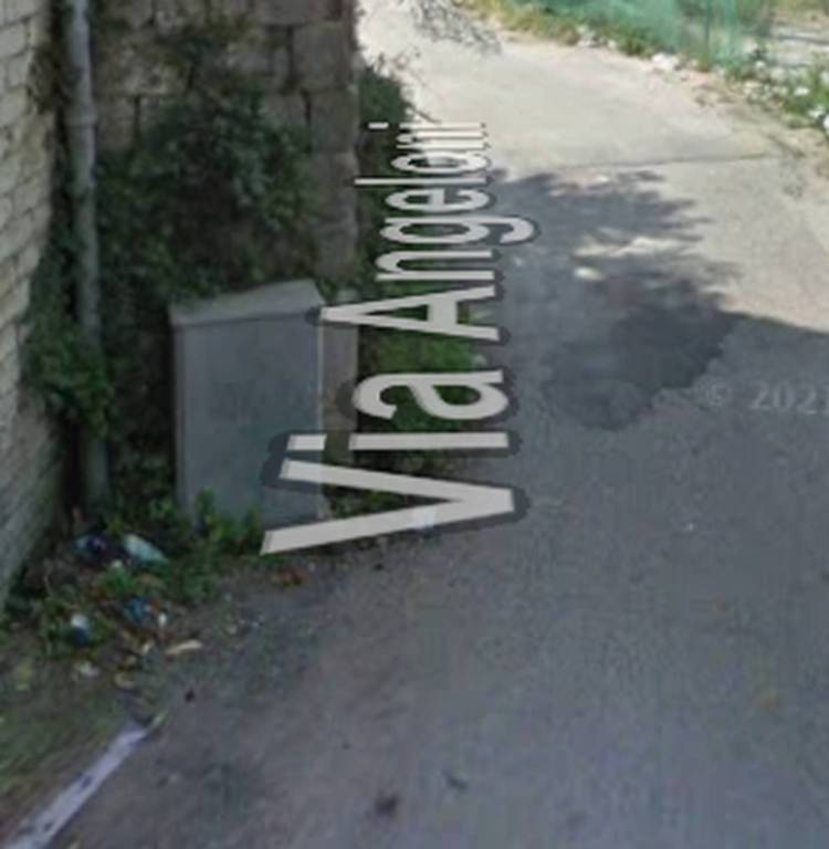 immagine annuncio 7 di 11