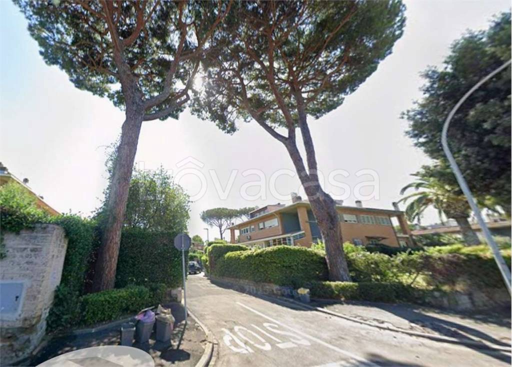 immagine annuncio 5 di 6