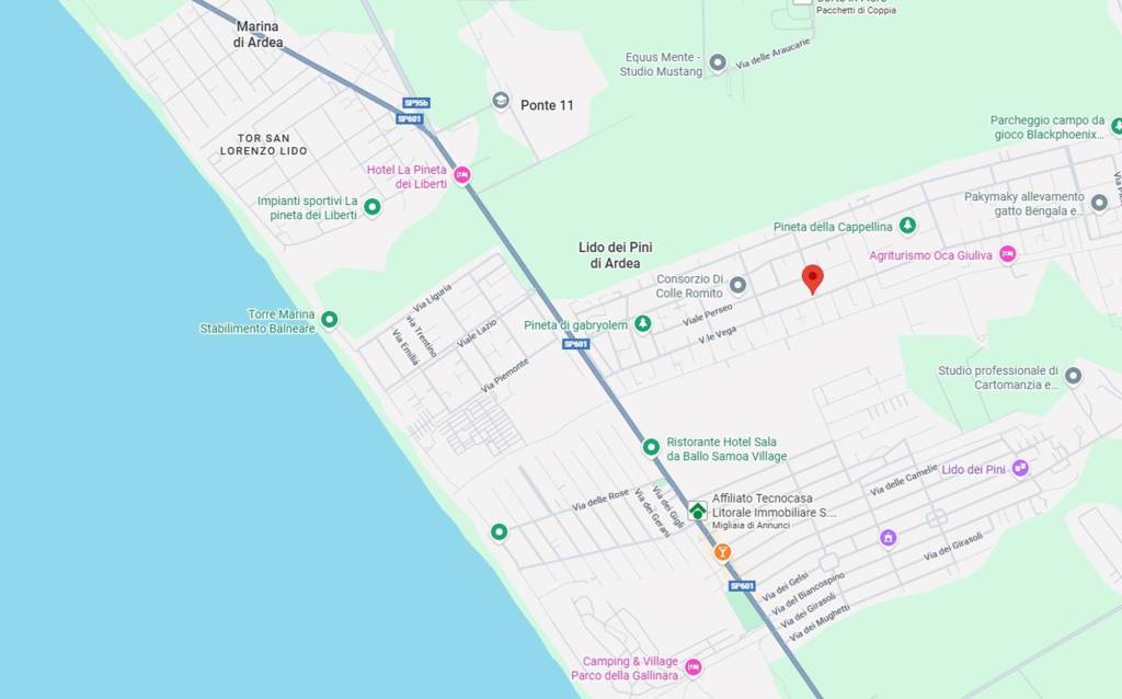 immagine annuncio 9 di 10