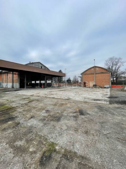 immagine annuncio 3 di 12