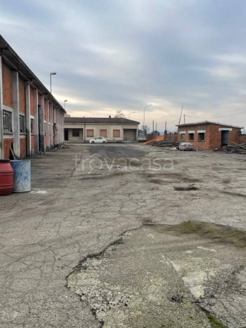 immagine annuncio 4 di 12