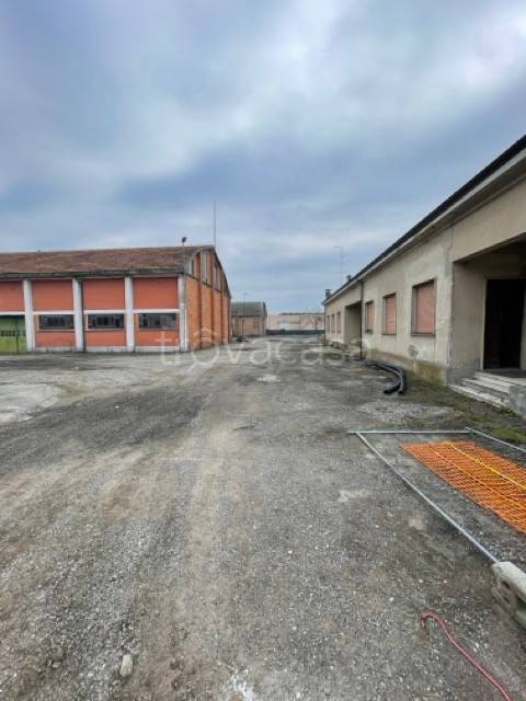 immagine annuncio 5 di 12