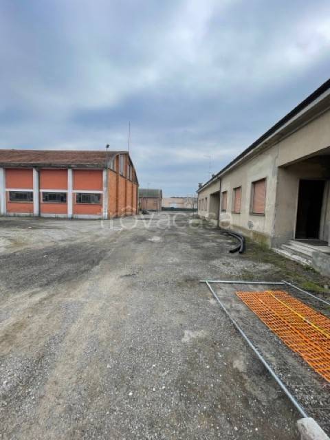 immagine annuncio 6 di 12