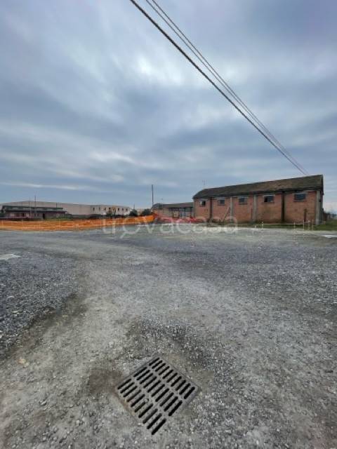 immagine annuncio 10 di 12