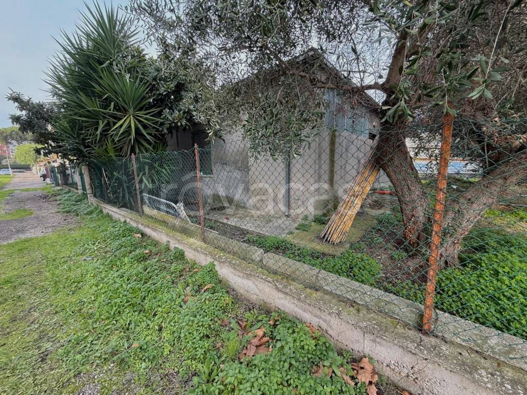 immagine annuncio 2 di 7