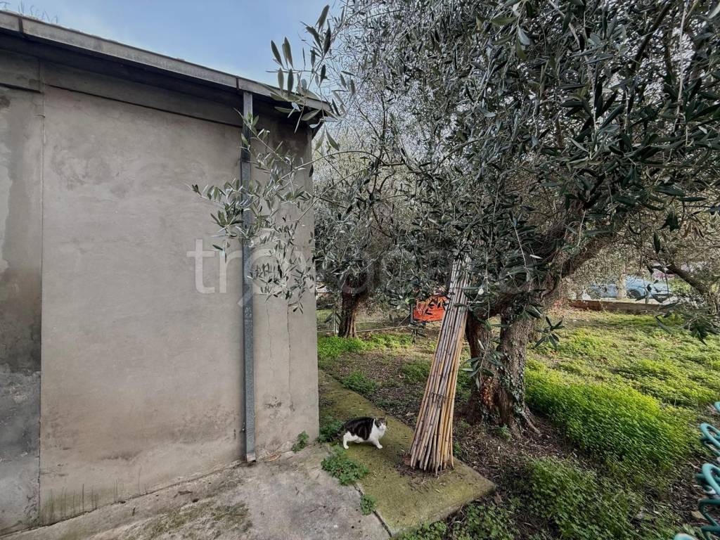 immagine annuncio 4 di 7