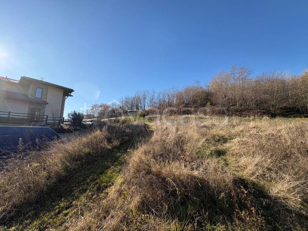 immagine annuncio 2 di 4