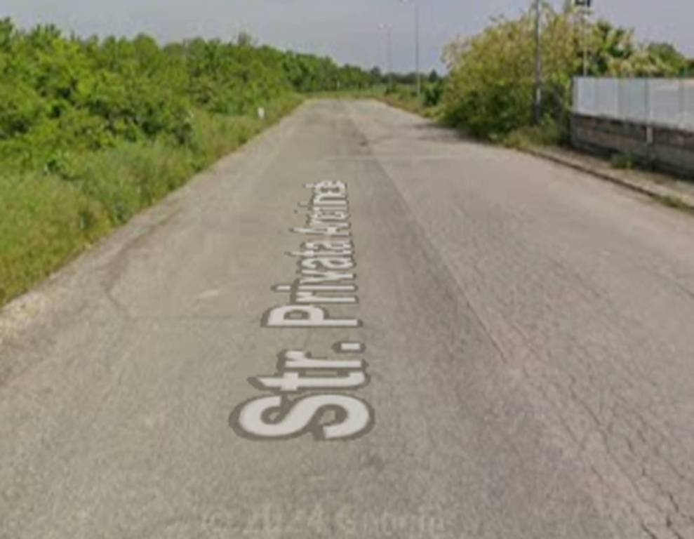 immagine annuncio 6 di 11